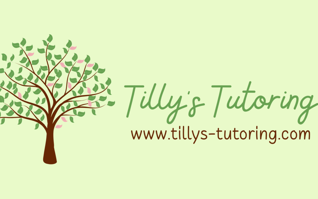 What Is the Best Tutoring Agency in the UK?